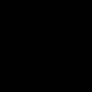 Meet your Posher, Maria lucero